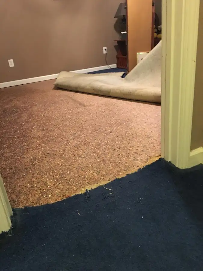 Carpet pad removal revealing water damage during Drying & Dehumidification in West Chester